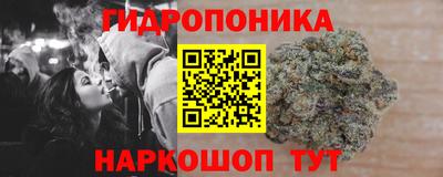 скорость Брянск
