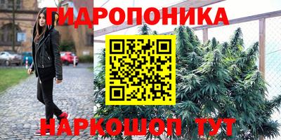 МДПВ Боровичи
