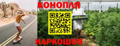 МДПВ Боровичи