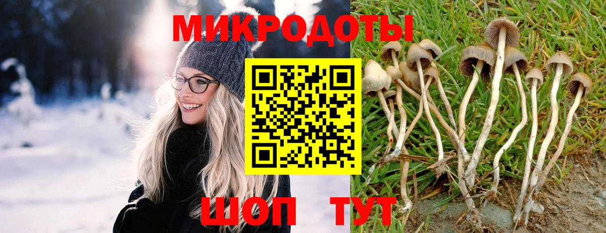 Галлюциногенные грибы мухоморы Кирово-Чепецк