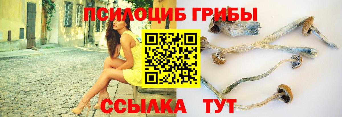 Псилоцибиновые грибы Psilocybine cubensis  Вход с VPN  Кирово-Чепецк 